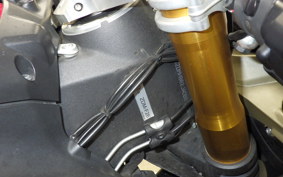 DUCATI 1199 PANIGALE S 2019