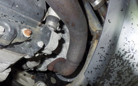 YAMAHA MAXAM 250 2024 SG21J