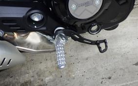DUCATI SCRAMBLER ICON 2024