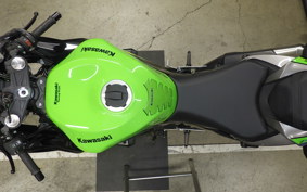 KAWASAKI NINJA ZX-6R A 2019 ZX636G