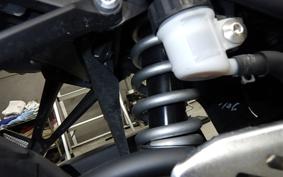 YAMAHA YZF-R25 2008 RG43J