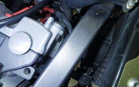 HONDA HORNET 250 2024 MC31