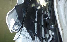 YAMAHA WR250X 2025 DG15J