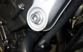 YAMAHA XSR900 GP 2024 RN96J