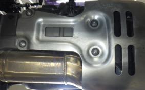 HARLEY PAN AMERICA 1250 S 2021