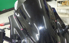 KAWASAKI ZX 1400 NINJA R A 2020