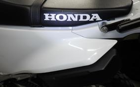 HONDA CRF250L 2020 MD47
