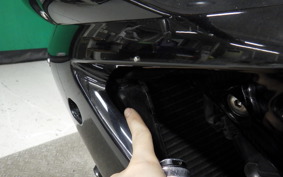 TRIUMPH DAYTONA 675 2009
