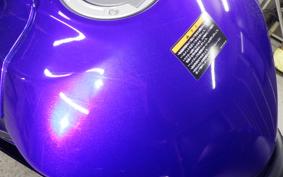 YAMAHA YZF-R25 2023 RG43J