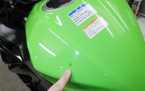 KAWASAKI NINJA 400 2021 EX400G