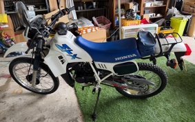 HONDA MTX50R AD06