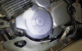 KAWASAKI SUPER SHERPA 2021 KL250G