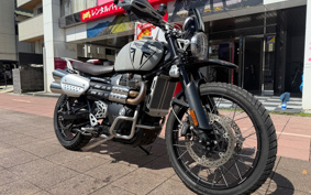 TRIUMPH SCRAMBLER 1200X 2024 DADR0H