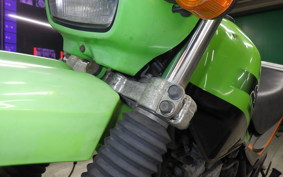 KAWASAKI SUPER SHERPA 2021 KL250G