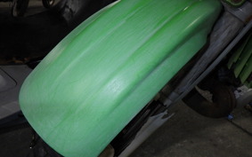 KAWASAKI KDX250SR DX250F