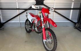 GASGAS EC 250