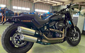 HARLEY FXFBS 2024 YLK