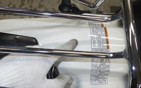 SUZUKI TS185 2015
