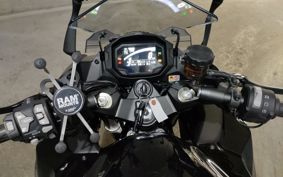 KAWASAKI NINJA 1000SX 2020 ZXT02K