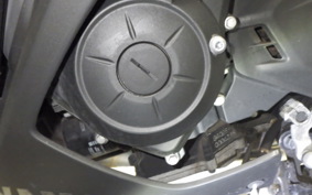 YAMAHA YZF-R25 2024 RG43J