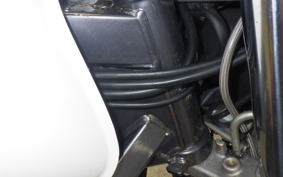 HONDA HORNET 250 MC31