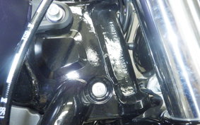HARLEY FXBB1920 2025