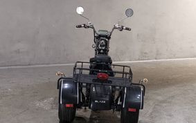 OTHER  BLAZE EV TRIKE  ..