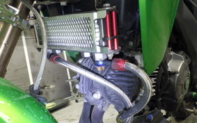 KAWASAKI Z125 PRO 2025 BR125H