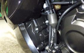 KAWASAKI ZX 1400 NINJA R 2013