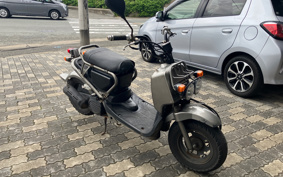 HONDA ZUMAR AF58