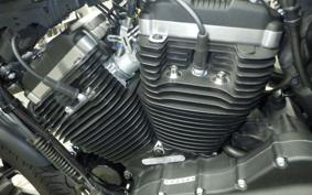 HARLEY XL883N 2017