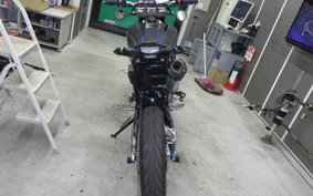 YAMAHA WR250X 2023 DG15J