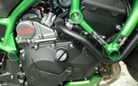 KAWASAKI ZH2 SE 2021 ZRT00K