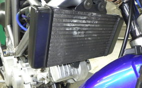 HONDA VTR 250 MC33
