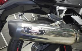 HONDA CB250F 2024 MC43