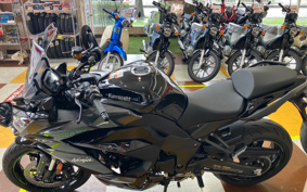 KAWASAKI NINJA 1100SX 2025 ZXT10H