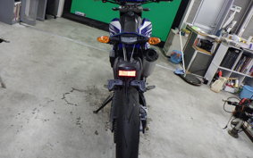 YAMAHA WR250X 2007 DG15J