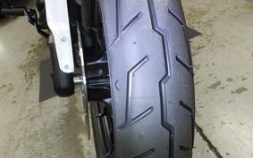 HARLEY FXLRST1920 2026