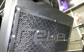HONDA REBEL 250 S MC49