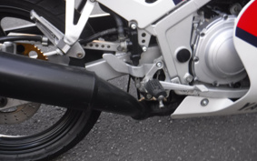 YAMAHA FZR250 2KR