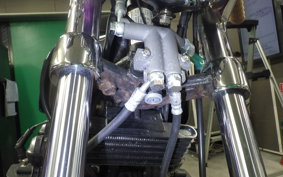 KAWASAKI Z1000 2025 Z1F