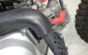 HONDA CRF50F 2023 AE04