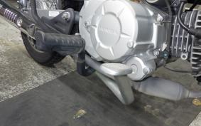 HONDA CROSS CUB 50 2006 AA06