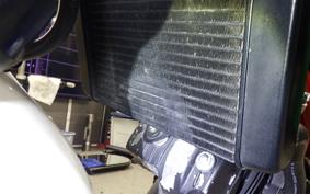 HONDA VTRF250 2024 MC33