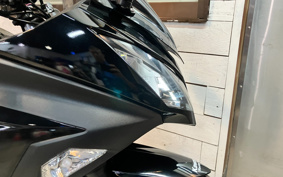 KAWASAKI NINJA 250 EX250L