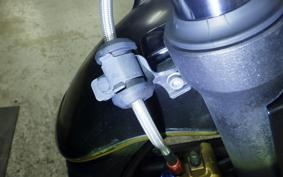 HONDA HORNET 250 2024 MC31