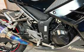 KAWASAKI NINJA 250 EX250L