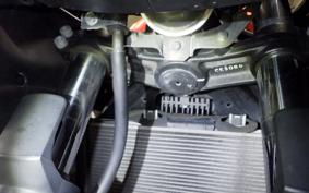 KAWASAKI NINJA 400 2015 EX400E