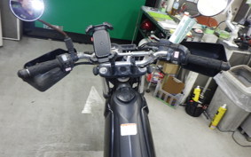YAMAHA TRICKER 2024 DG10J