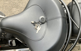 HARLEY FLSTSB 2008 JM5